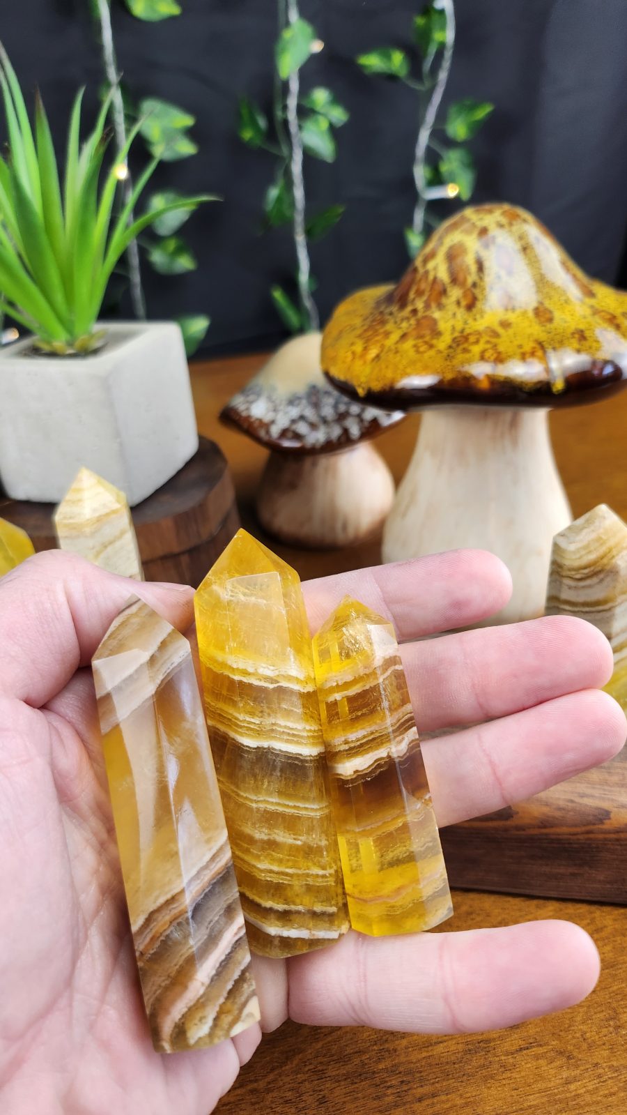 Yellow Fluorite crystal towers in hand to show size.