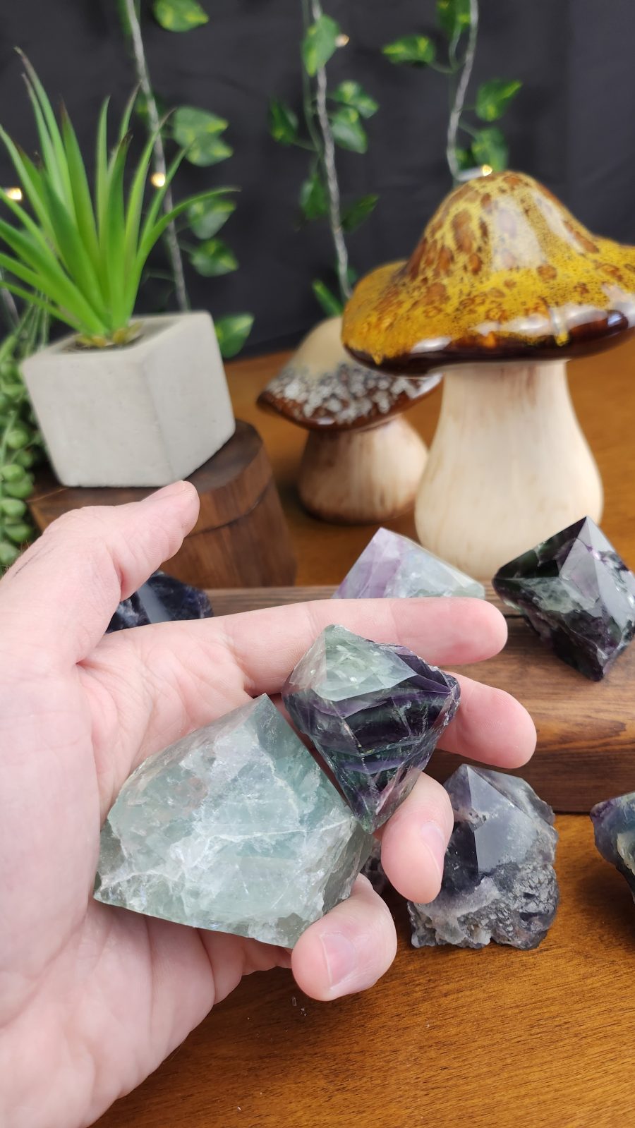 Rainbow Fluorite Rough Crystal Points shown in hand for scale.