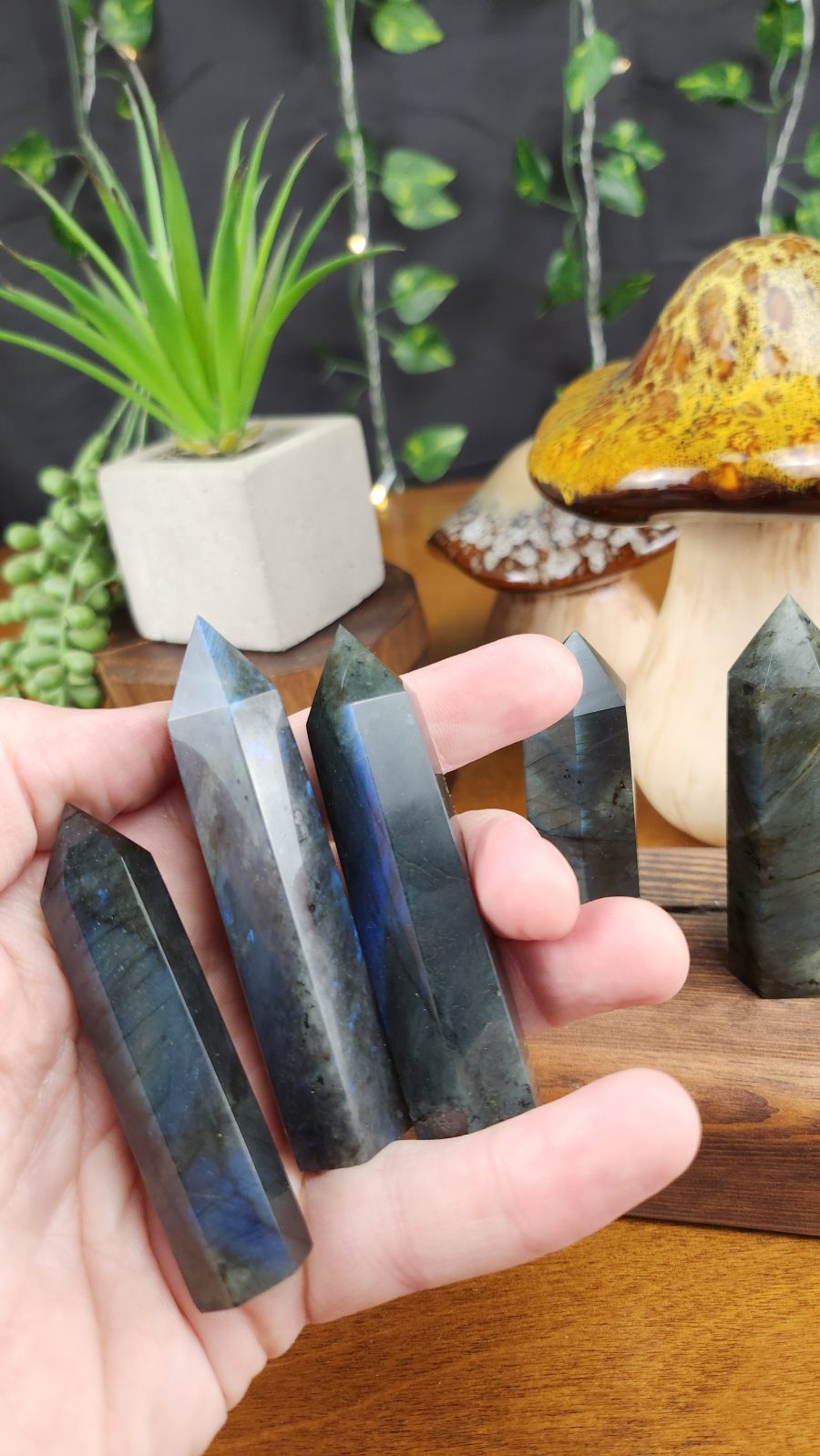 Labradorite crystal points in hand for scale.