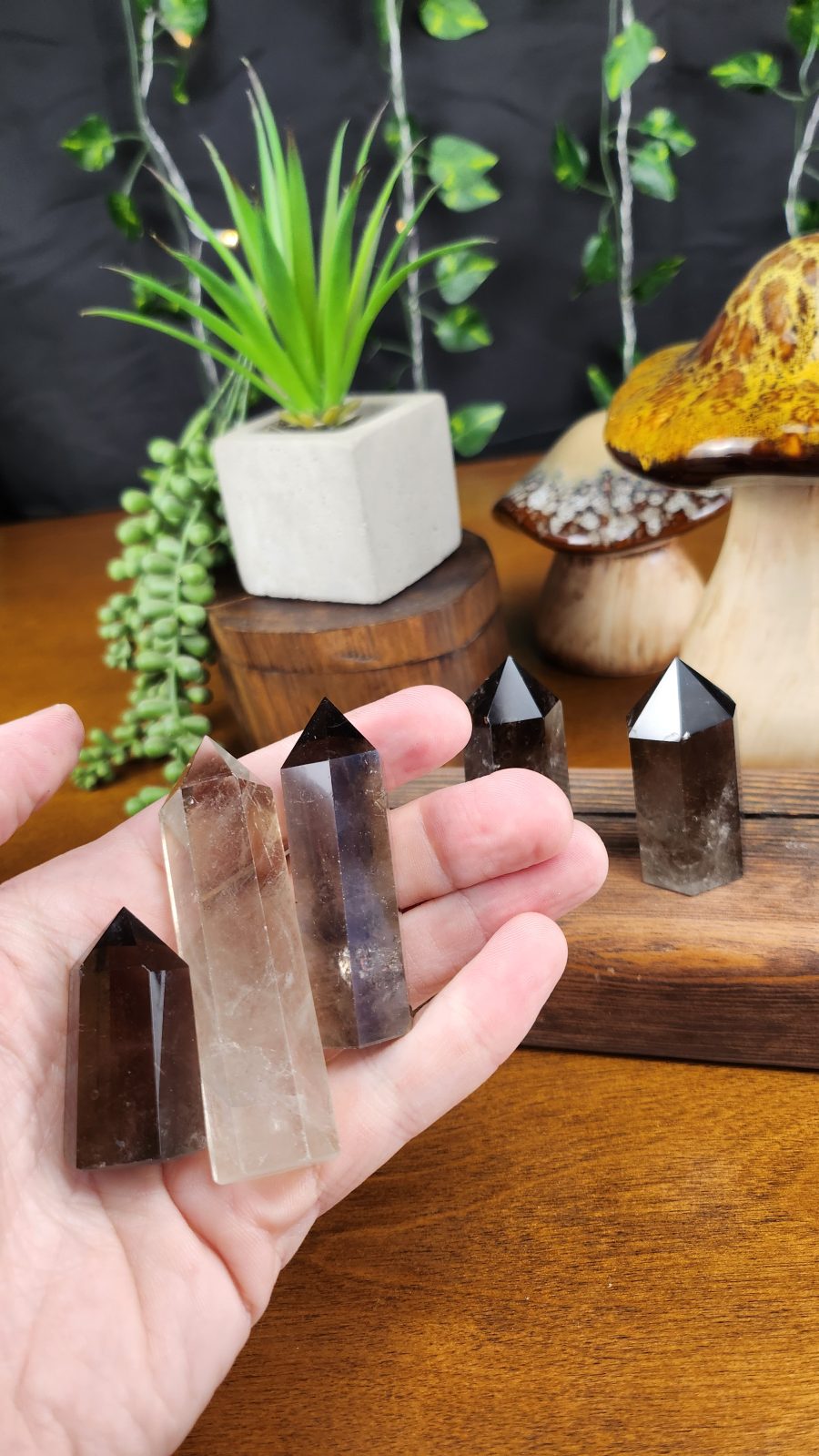 Smokey Quartz crystal points shown in hand for scale.